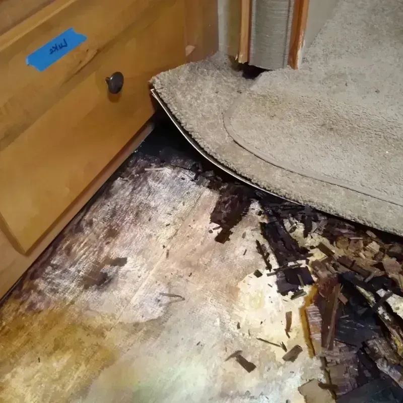 Best Wood Floor Water Damage Service in Halesite, NY